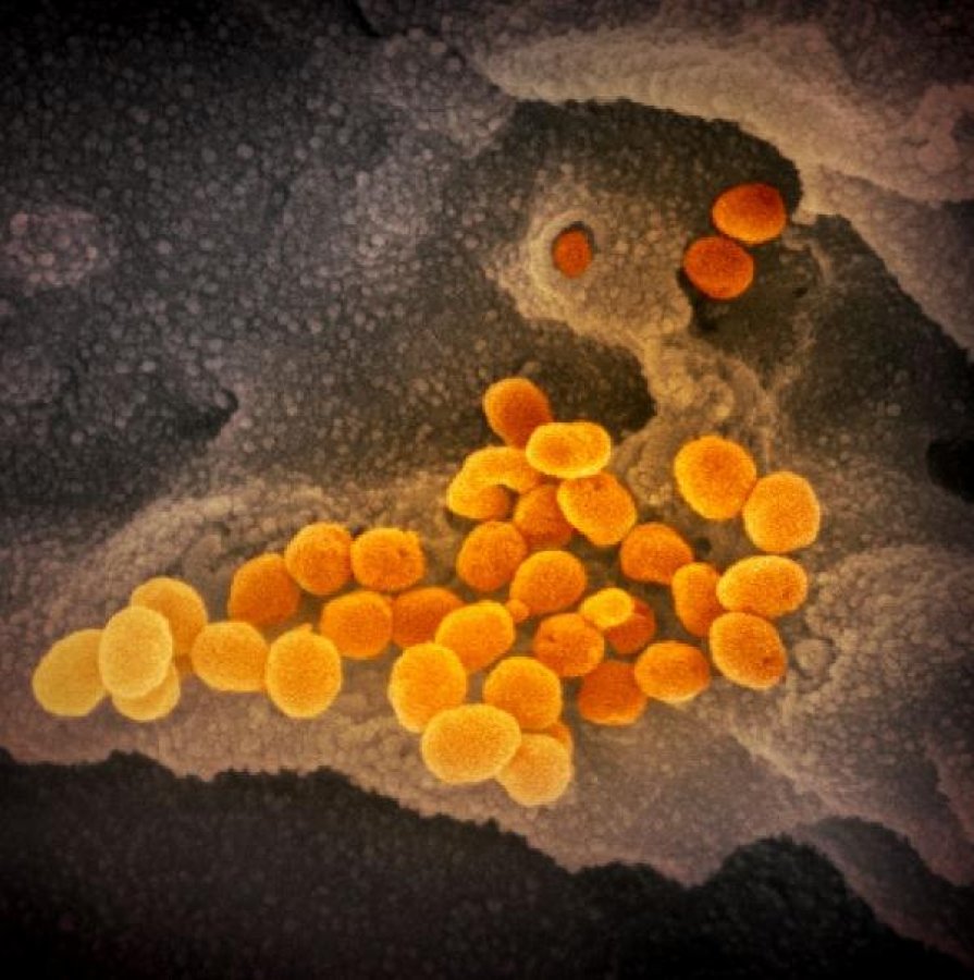 d Koronavirüs fotoğrafları yayınlandı