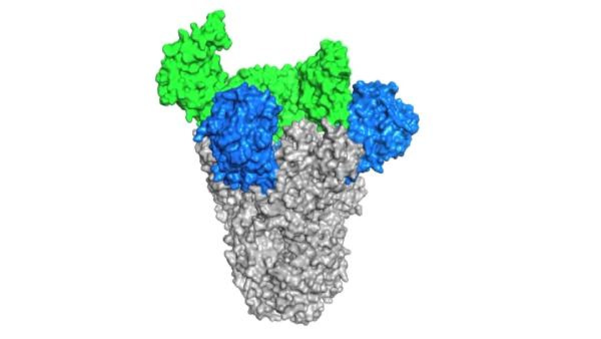 d Koronavirüs fotoğrafları yayınlandı