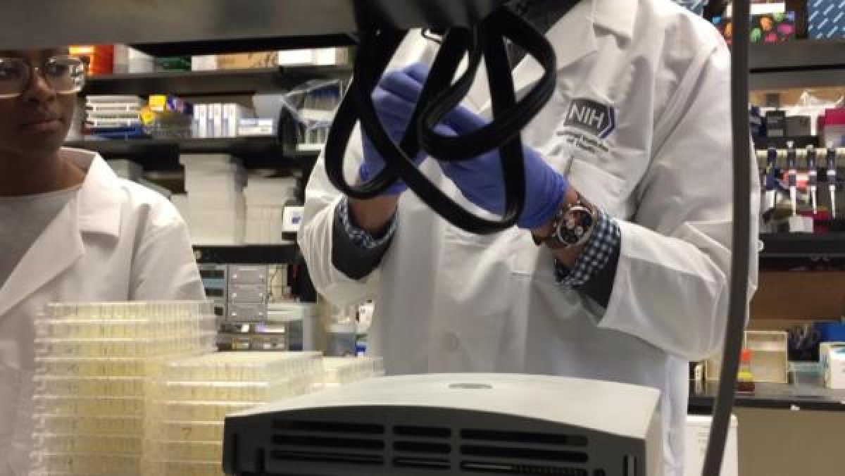 d Koronavirüs fotoğrafları yayınlandı