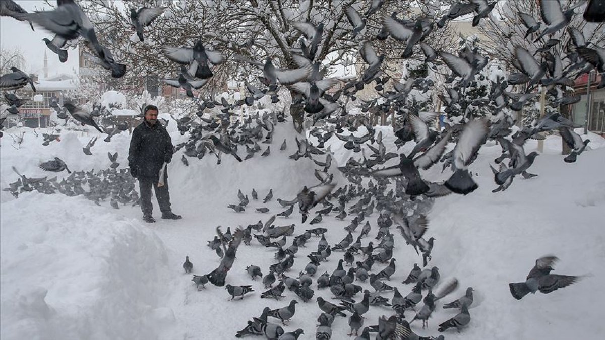 30 yıldır binlerce kuşa evladı gibi bakıyor