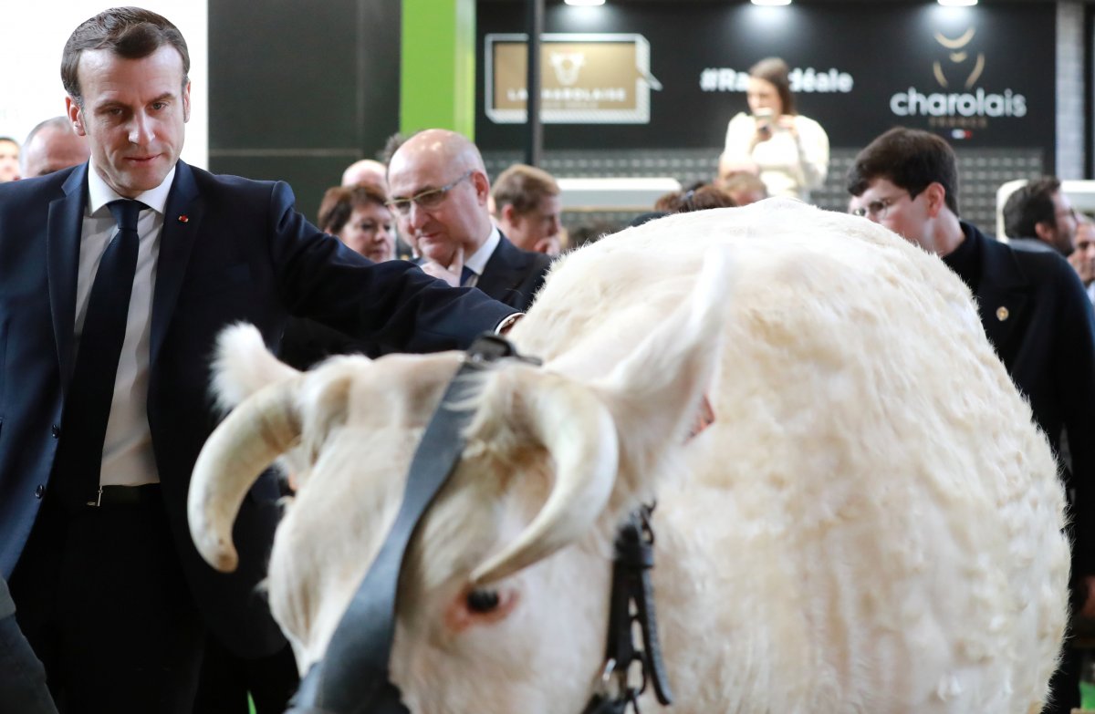 r Macron, hayvanların kalitesini kontrol etti