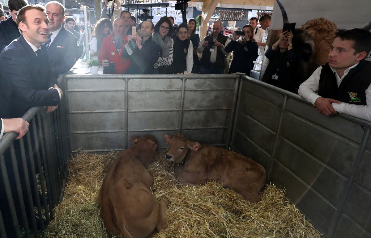 r Macron, hayvanların kalitesini kontrol etti