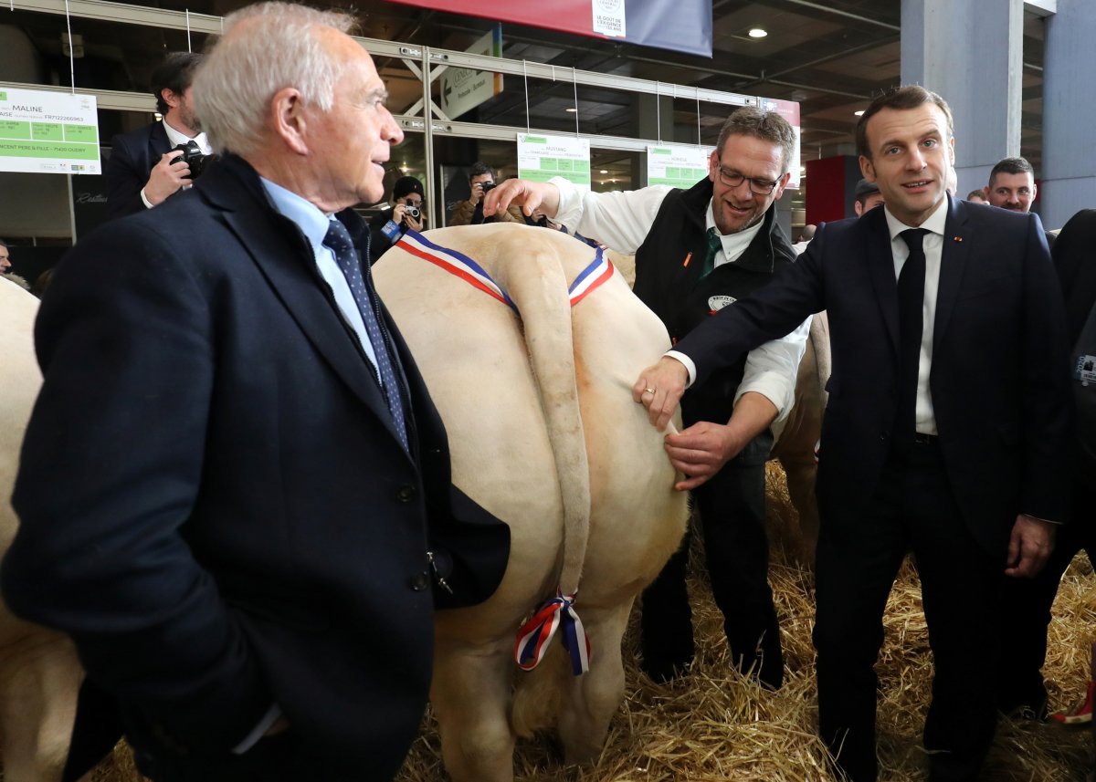 r Macron, hayvanların kalitesini kontrol etti