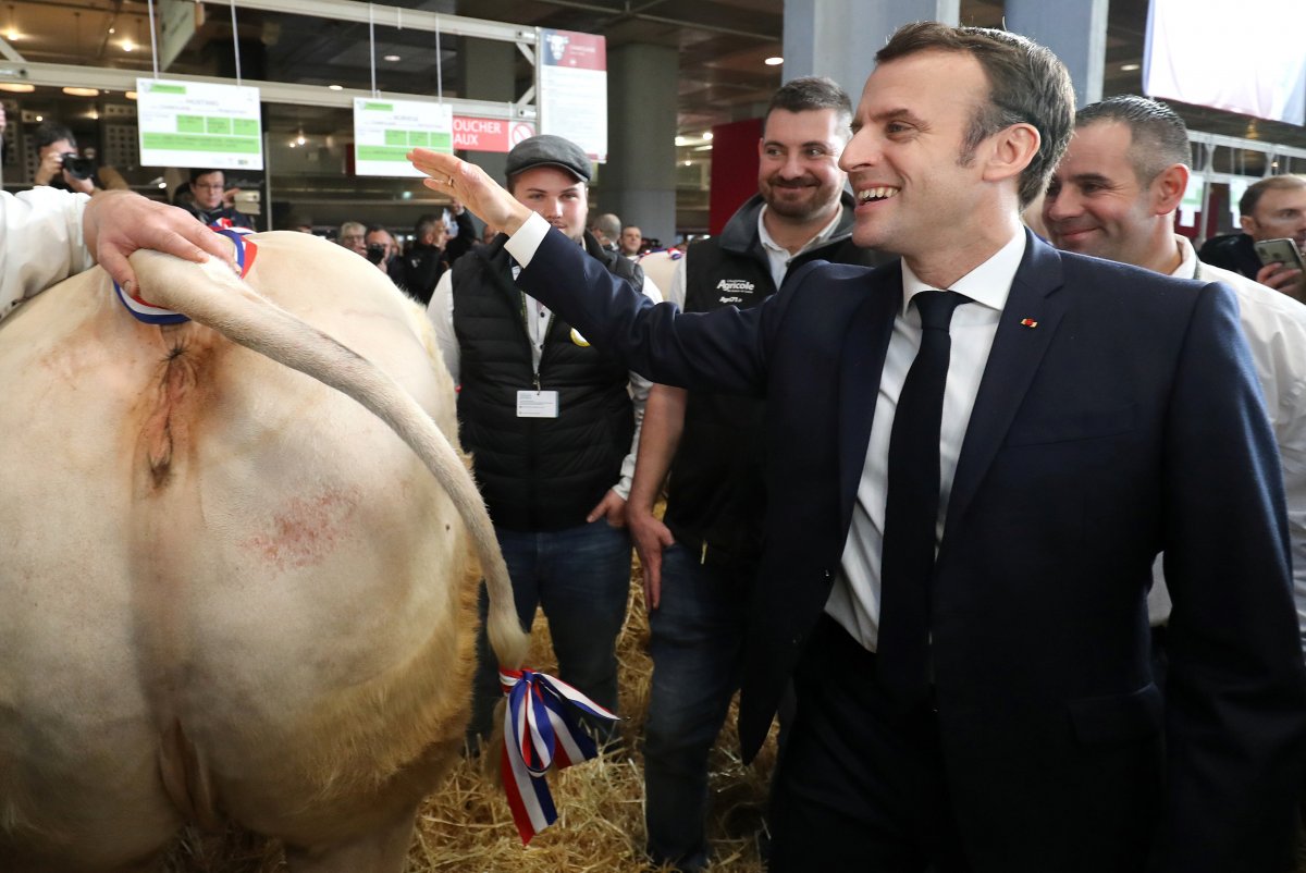 r Macron, hayvanların kalitesini kontrol etti