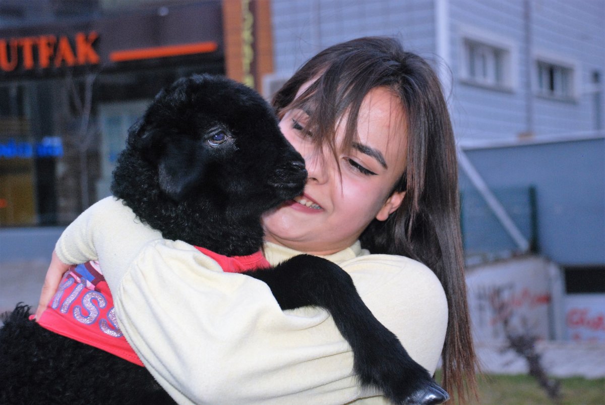 i Annesinin reddettiği kuzuyu sahiplendi