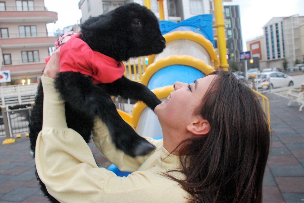 i Annesinin reddettiği kuzuyu sahiplendi