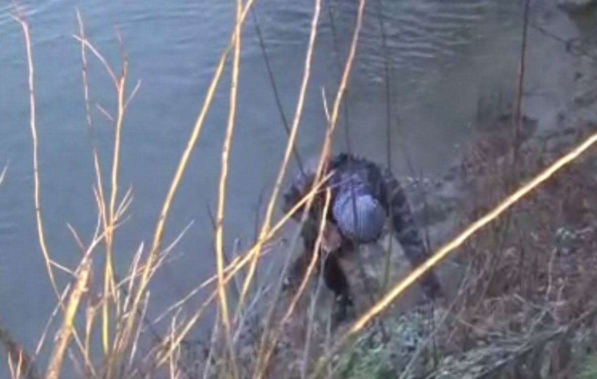 i Yunanistan'dan yüzerek dönen mülteciler