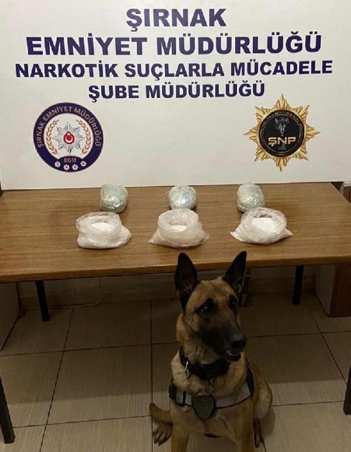 Şırnak'ta uyuşturucu kaçakçılığı operasyonu: 37 gözaltı