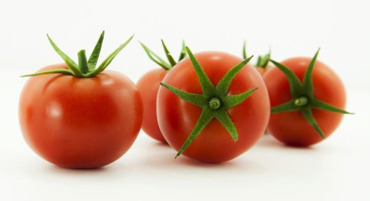 Rusya'ya domates ihracat kotası 50 bin ton artırıldı