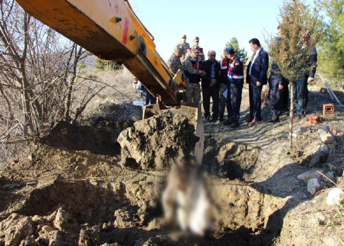 8 yıldır aranan Ahmet'i, babasının öldürdüğü ortaya çıktı