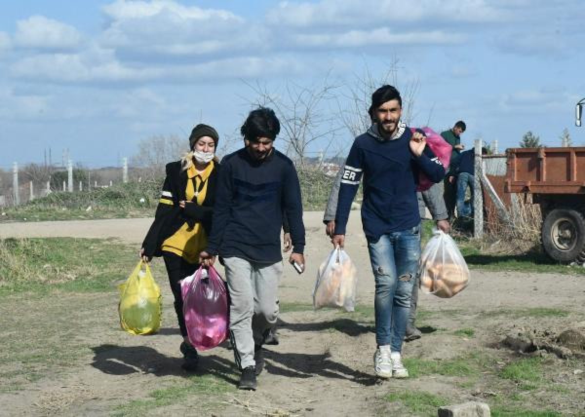 d Mültecilerin at arabalarıyla market alışverişi