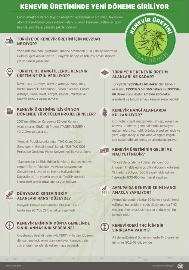Kenevirde 2 yeni tür tohum üretildi