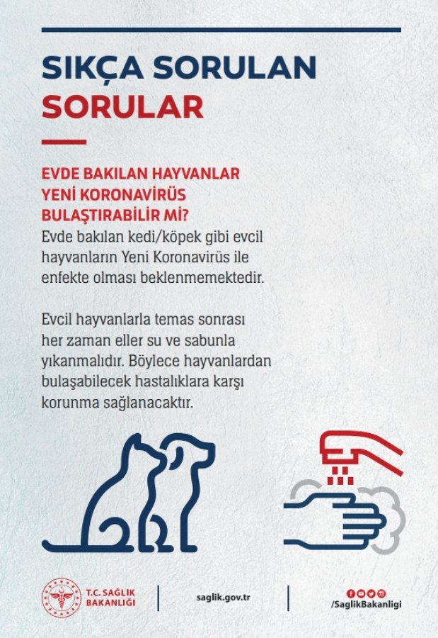 Koronavirüs hakkında bilmemiz gerekenler