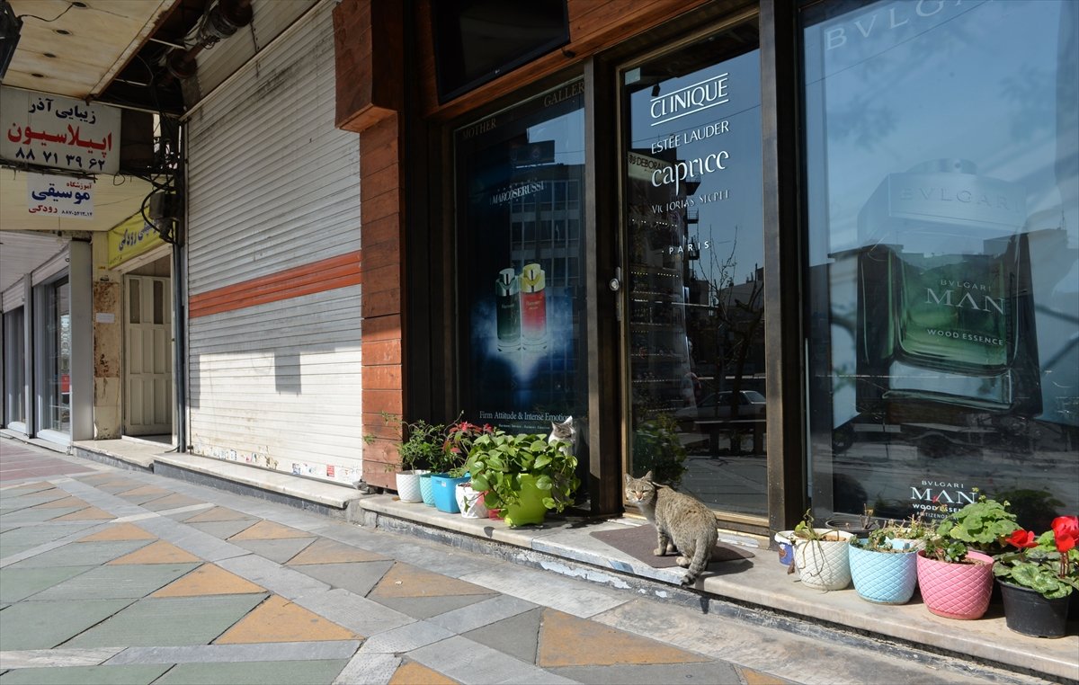 İran'da koronavirüs nedeniyle ölenlerin sayısı 853 oldu