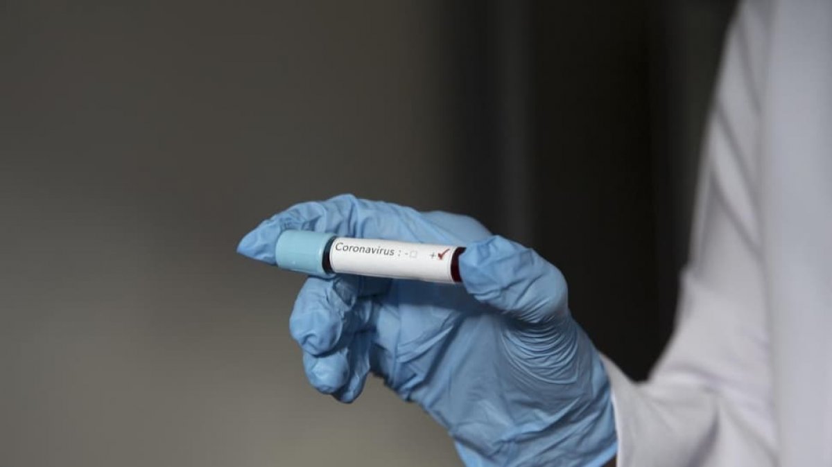 YÖK Başkanı'ndan öğrencilere: Evde kalın