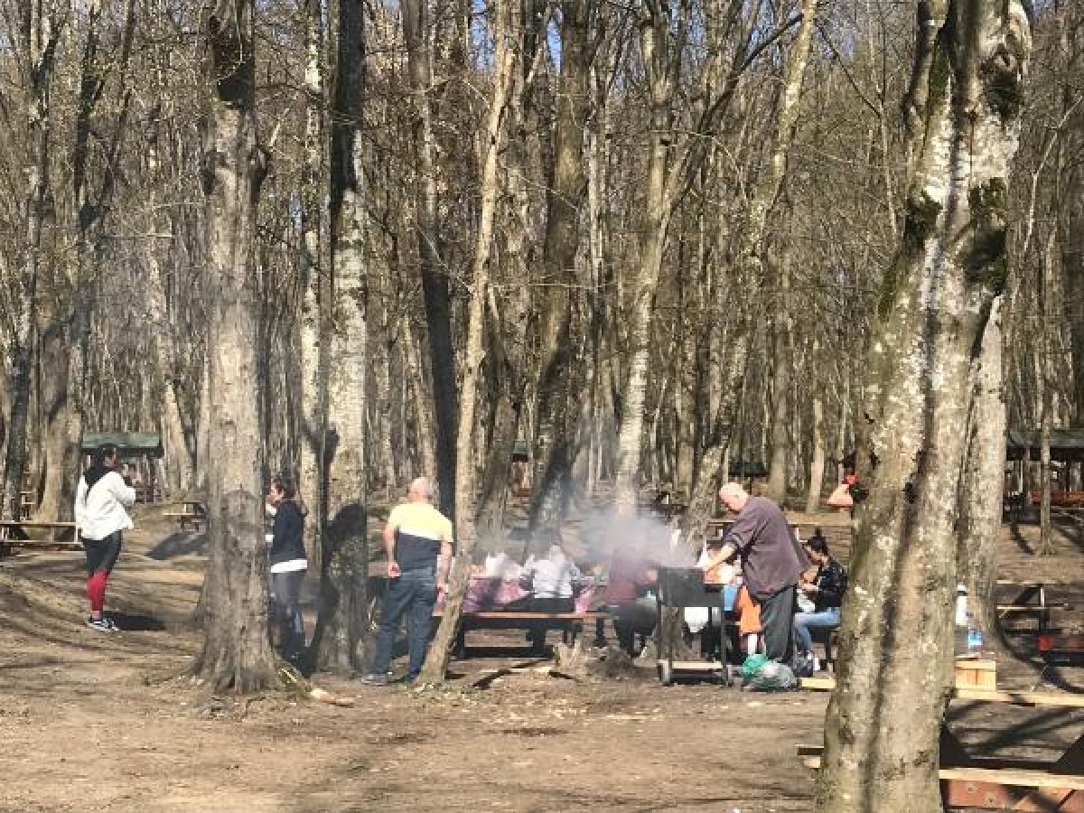 d Belgrad Ormanı'nda yasağa rağmen mangala devam