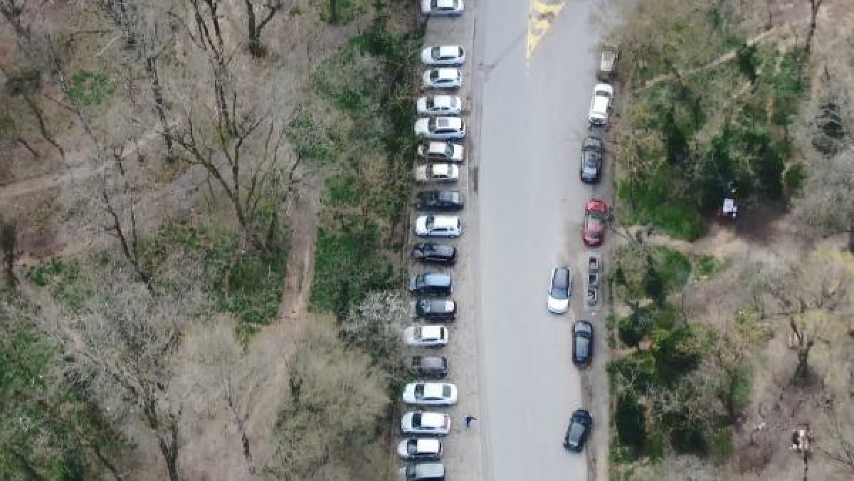 d Belgrad Ormanı'nda yasağa rağmen mangala devam