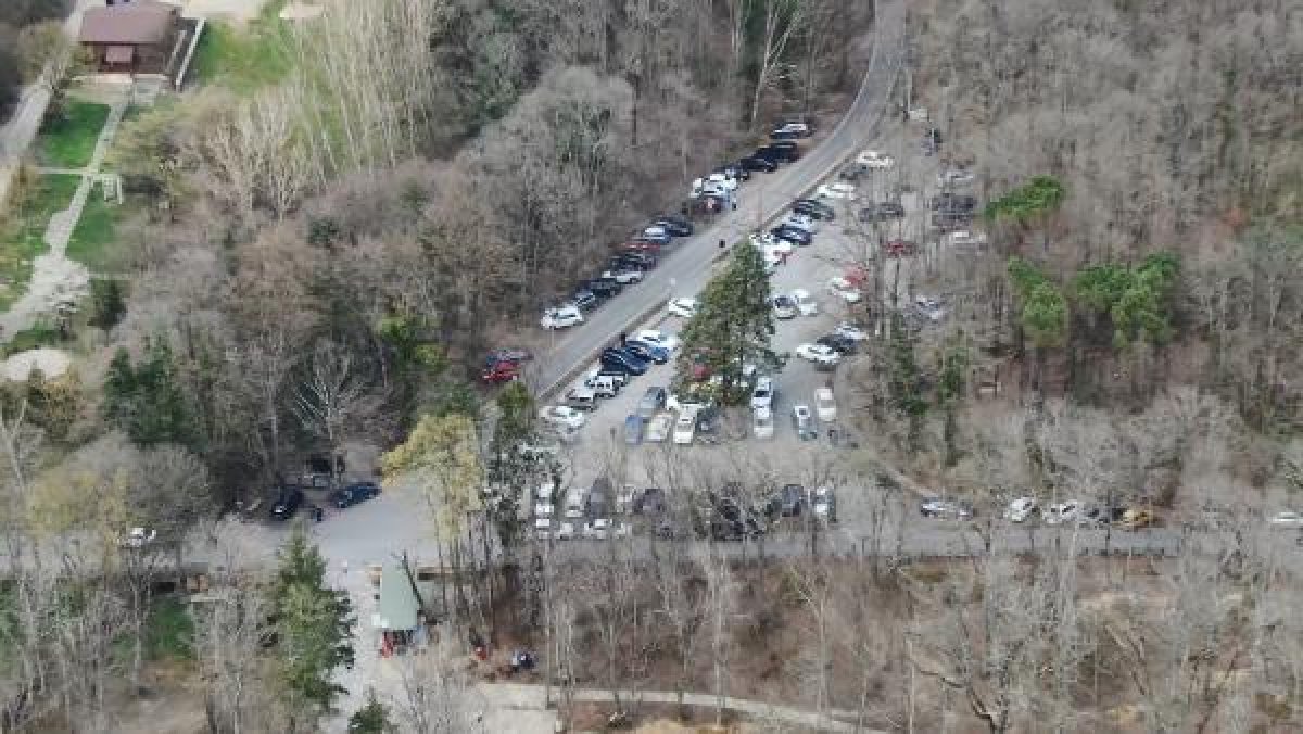 d Belgrad Ormanı'nda yasağa rağmen mangala devam