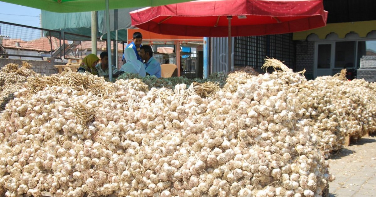 i Sarımsak fiyatını ikiye katladı