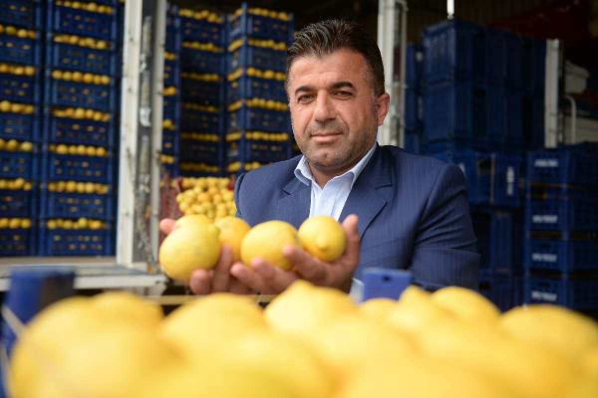 d Domatesin fiyatı düştü, limon yükselişe geçti