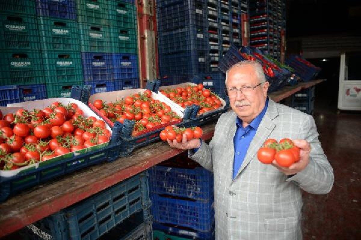 d Domatesin fiyatı düştü, limon yükselişe geçti