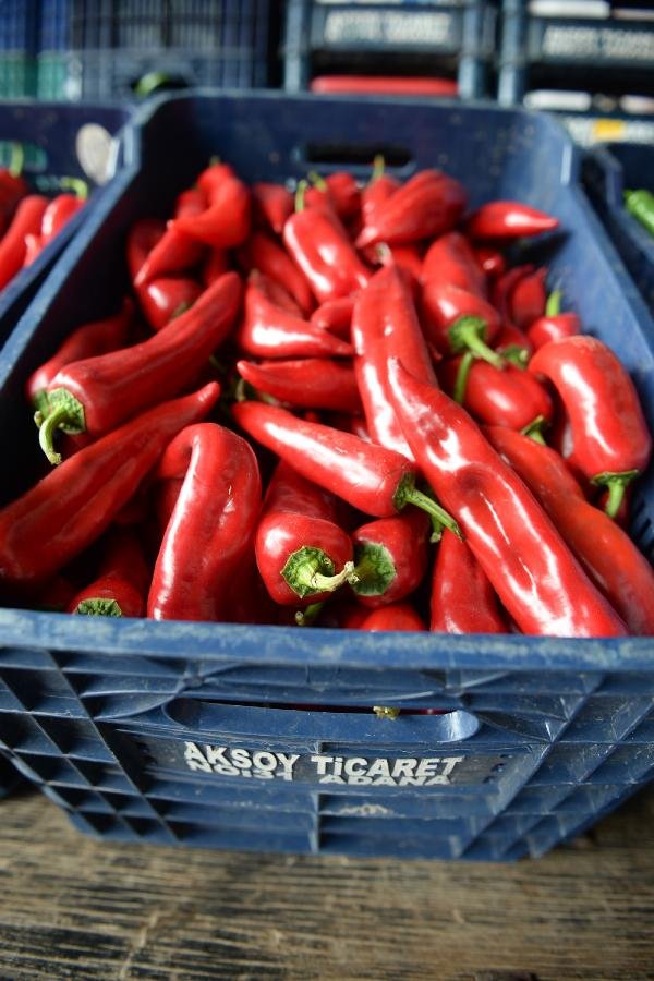 d Domatesin fiyatı düştü, limon yükselişe geçti