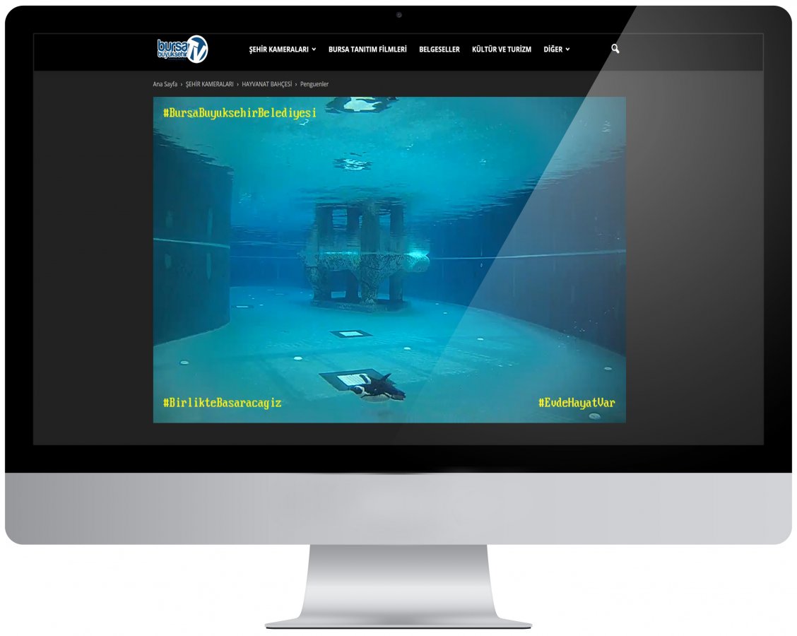 Bursa Hayvanat Bahçesi’ne canlı bağlantı