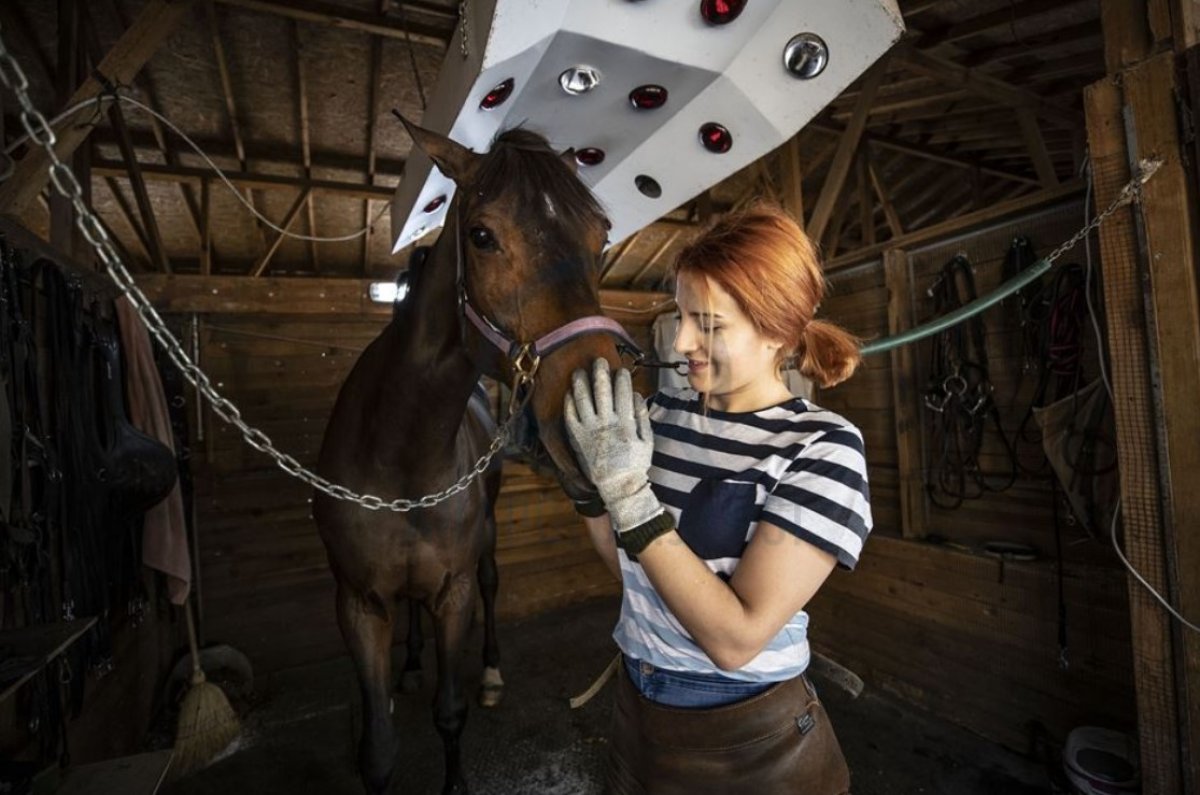 At sevgisi ağır basınca nalbantlığa gönül verdi