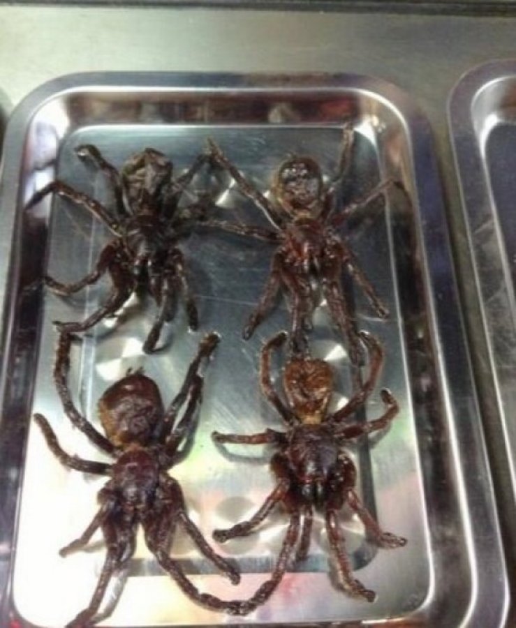 Çin'de vahşi hayvan pazarları yeniden kuruldu