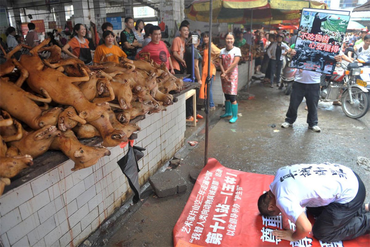 Demet Akalın Çinlilere ateş püskürdü