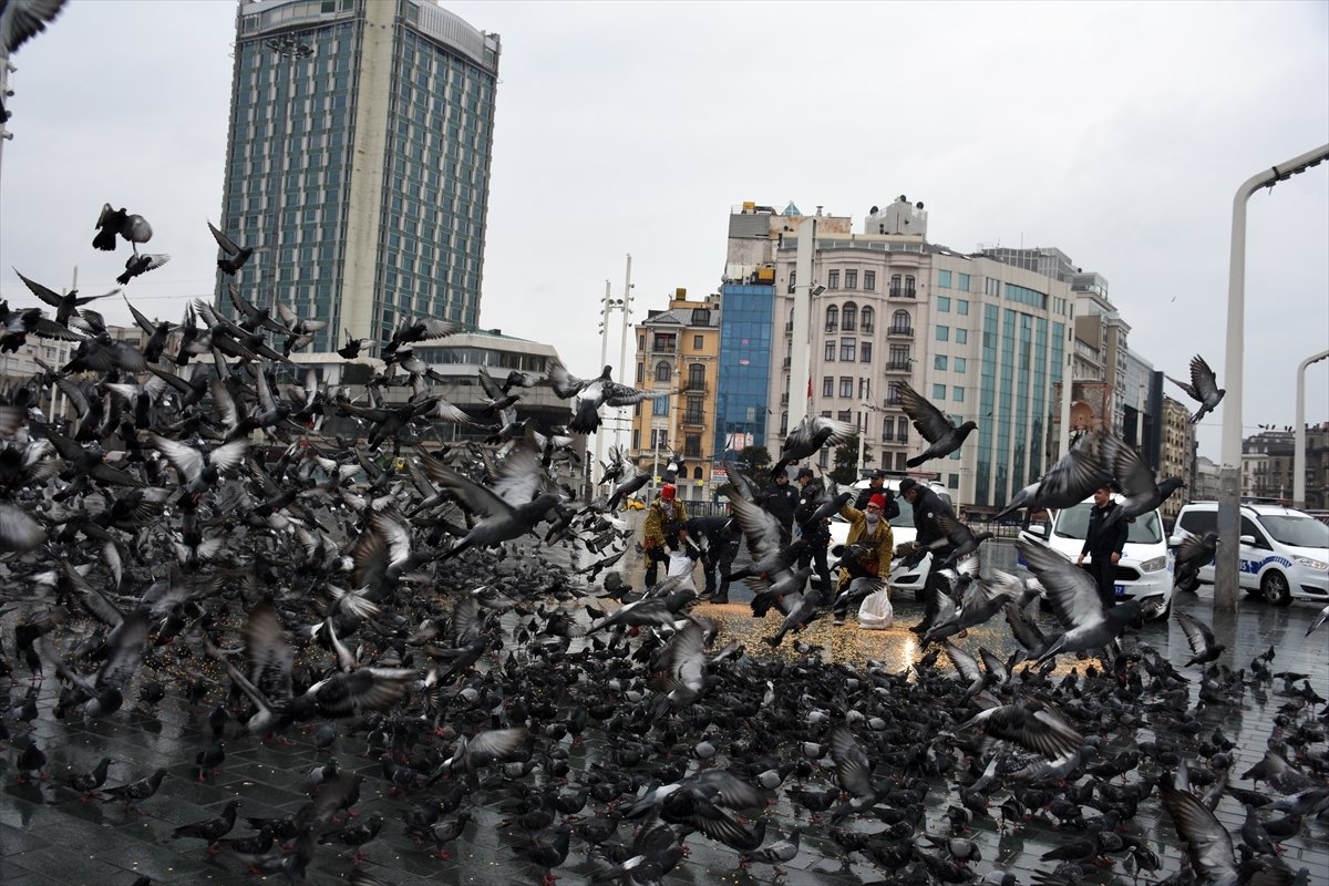 a Sokaklarda yalnız kalan hayvanlar unutulmadı