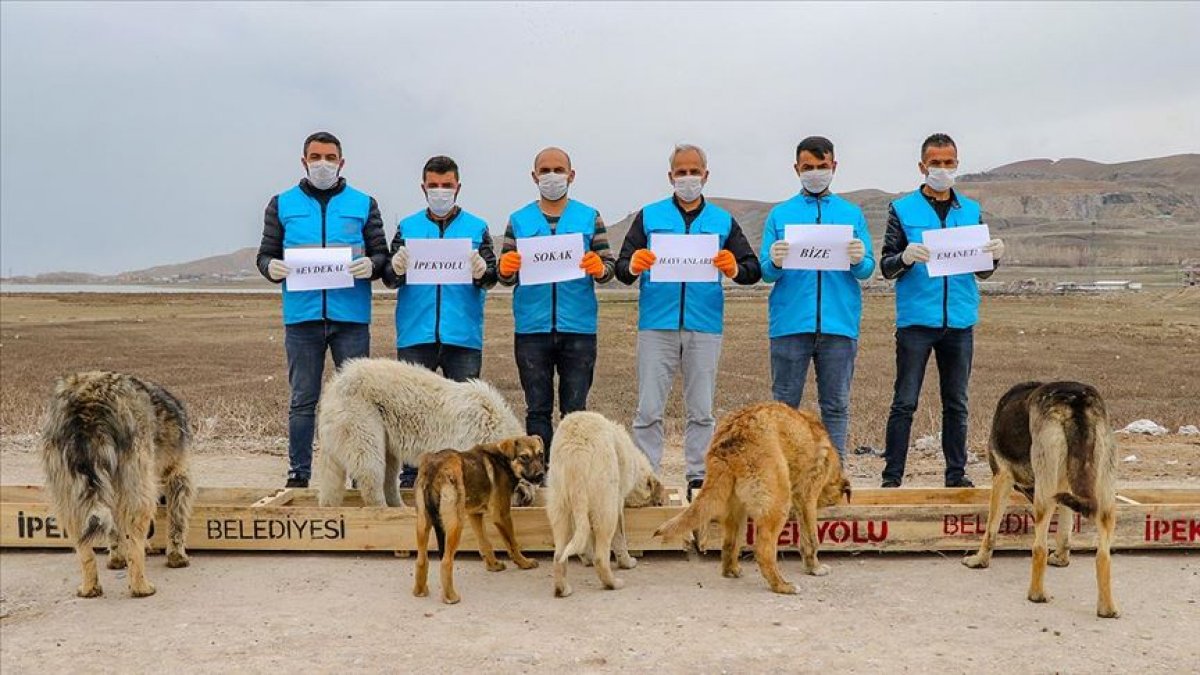 a Sokaklarda yalnız kalan hayvanlar unutulmadı