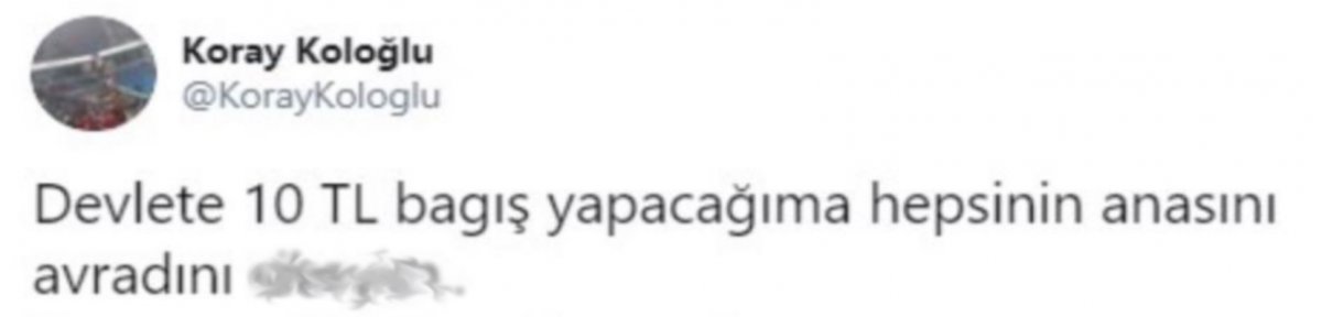 Sosyal medyada devlete küfür eden provokatör gözaltında