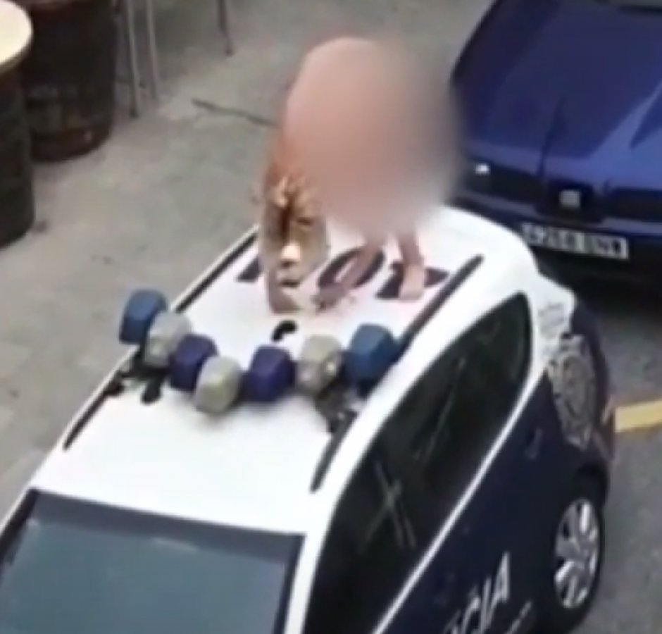 İspanyalı kadından karantinaya çıplak protesto