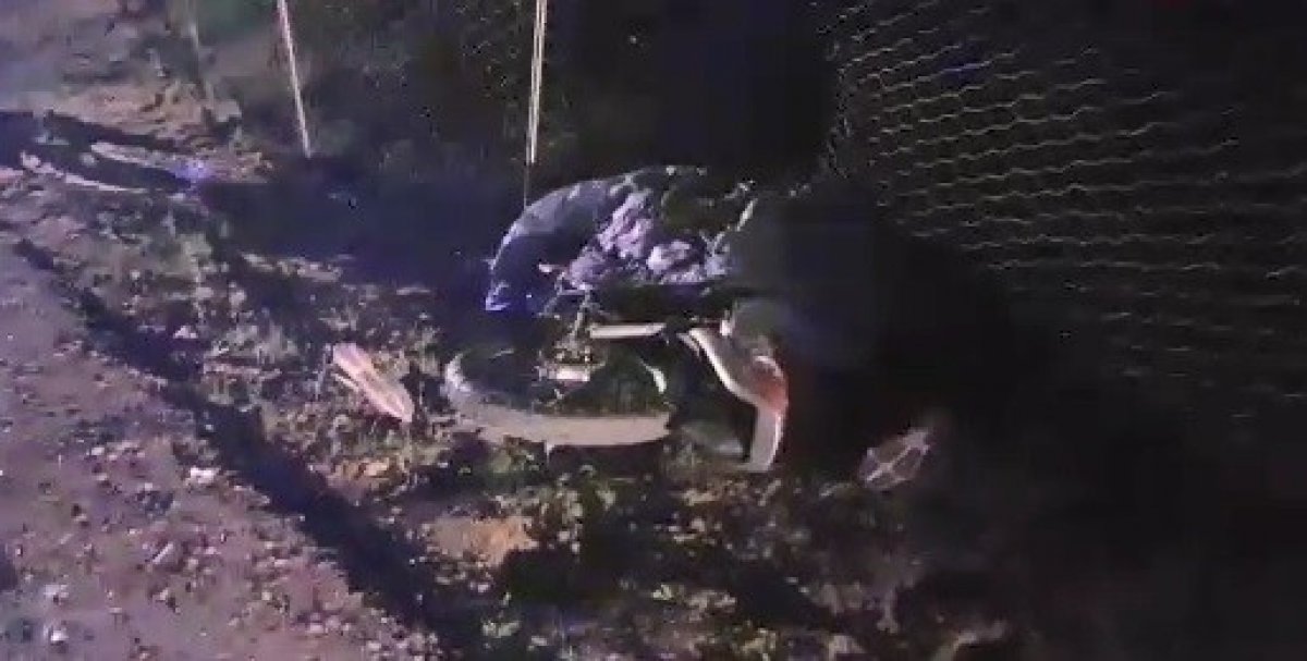 i Kocaeli'de motosiklet araç ile çarpıştı: 1 ölü 1 yaralı