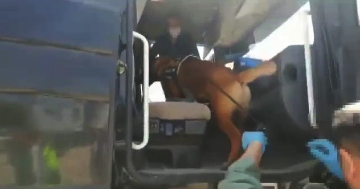 i Seyahat izin belgeli tırdan uyuşturucu çıktı