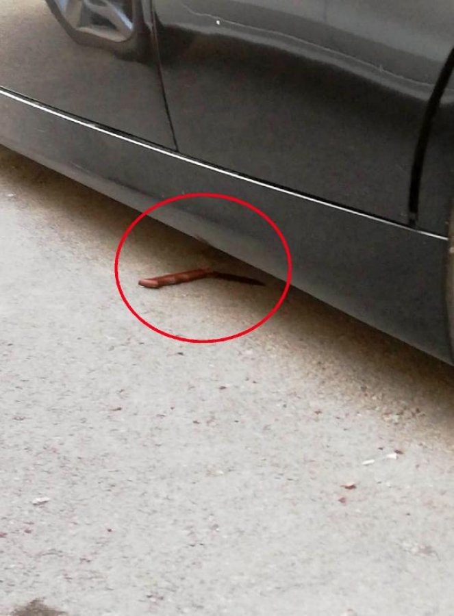 d Annesinin evlenmesine kızdı, üvey babasını bıçakladı