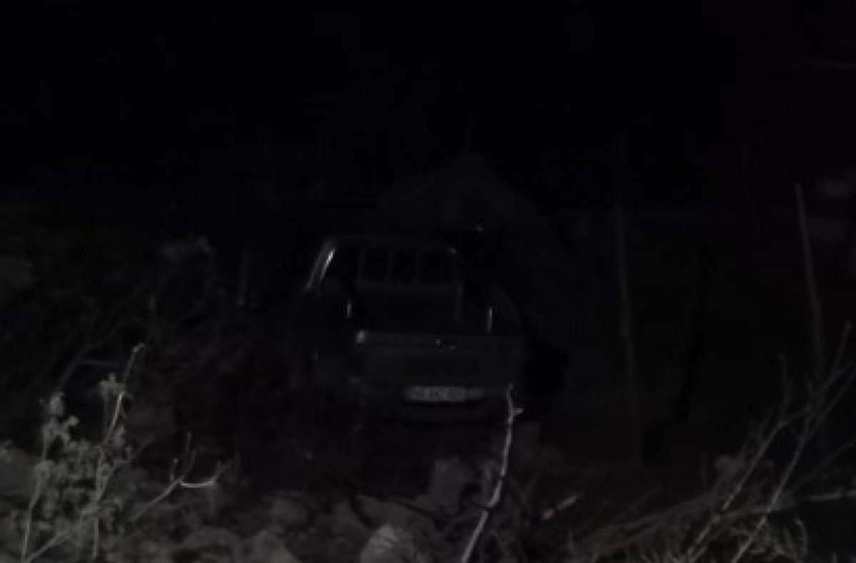 Köpek araca zarar verdi, dayısı ve kuzenini öldürdü