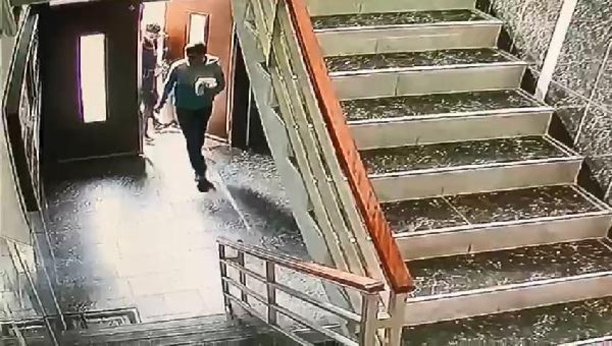 d İstanbul'da bir evden telefon, kapı önünden araç çalındı