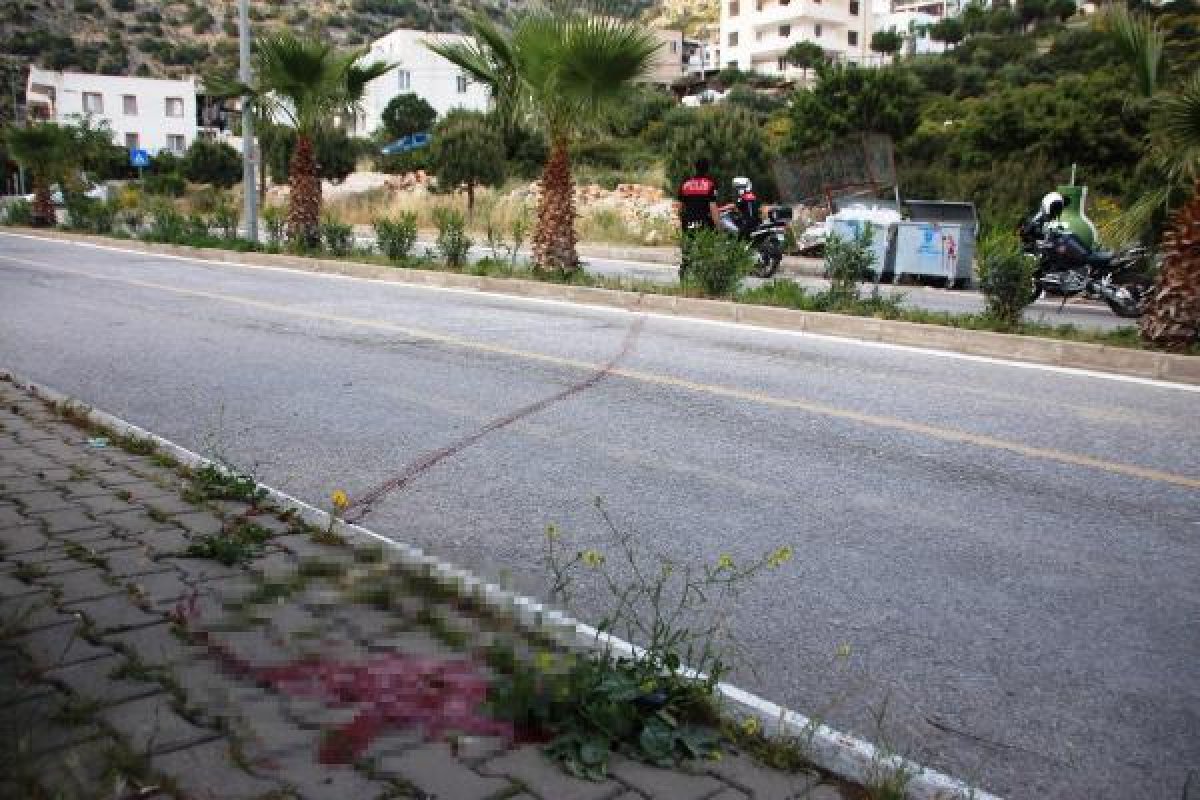 Bodrum'da bir çoban, köpeği öldürüp çöpe attı
