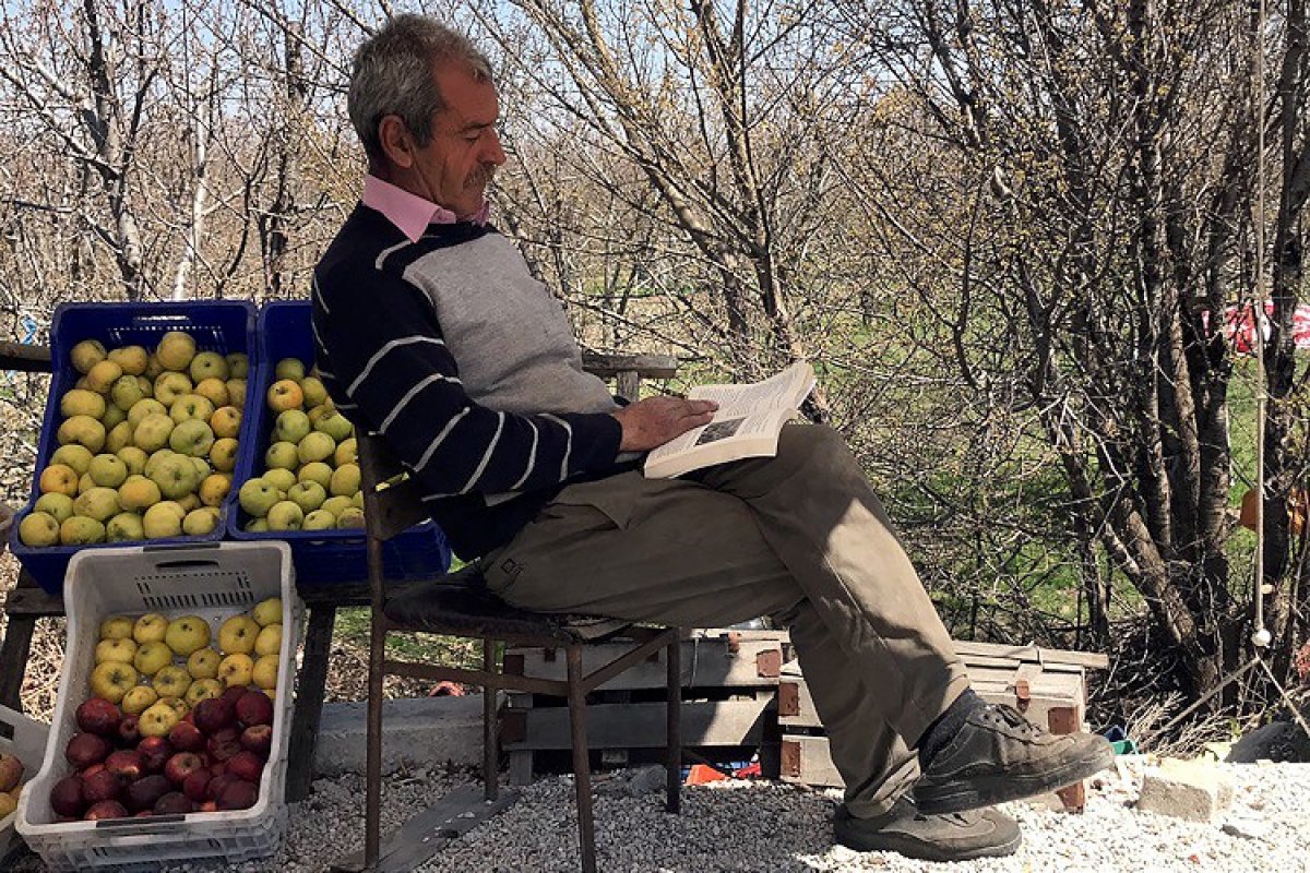 Yol üzeri tezgahında müşteri beklerken bin kitap okudu