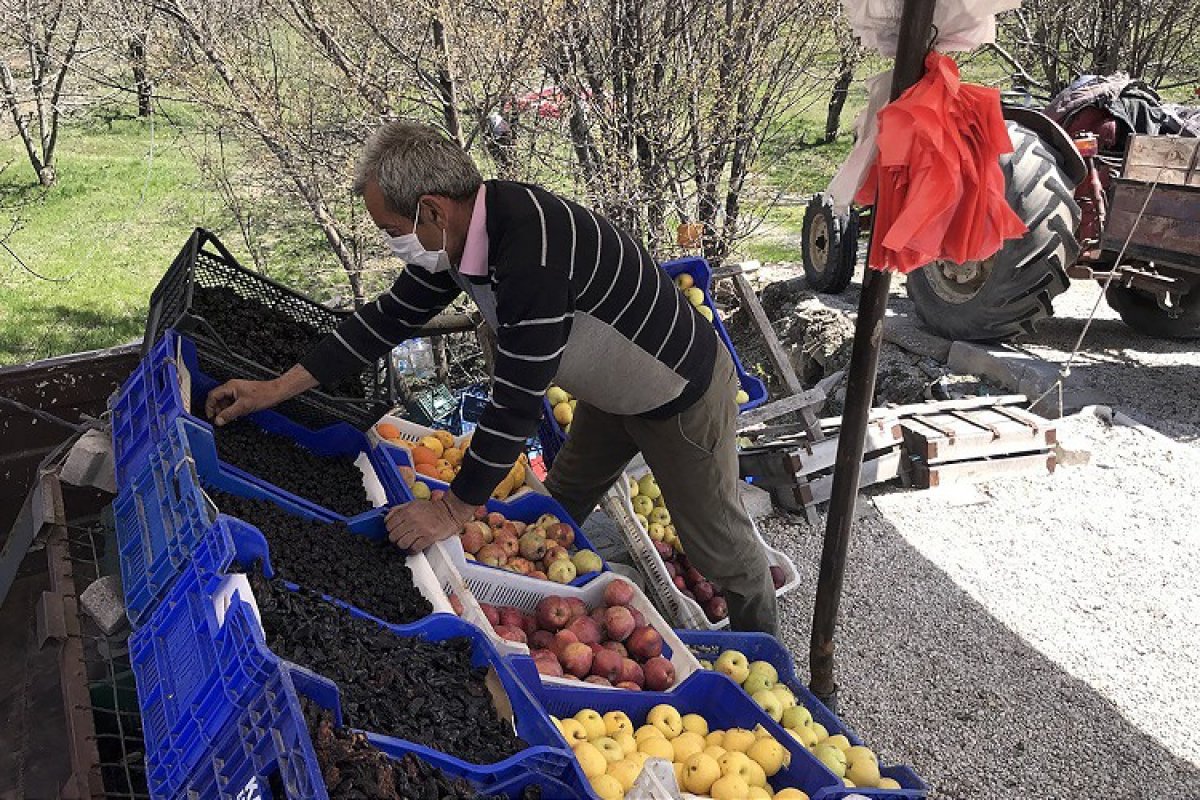 Yol üzeri tezgahında müşteri beklerken bin kitap okudu