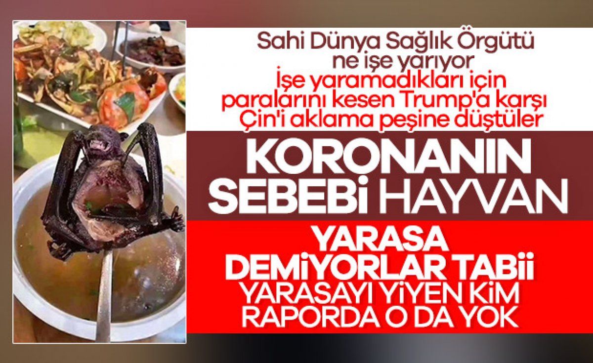 Çin’den DSÖ’ye 30 milyon dolarlık bağış