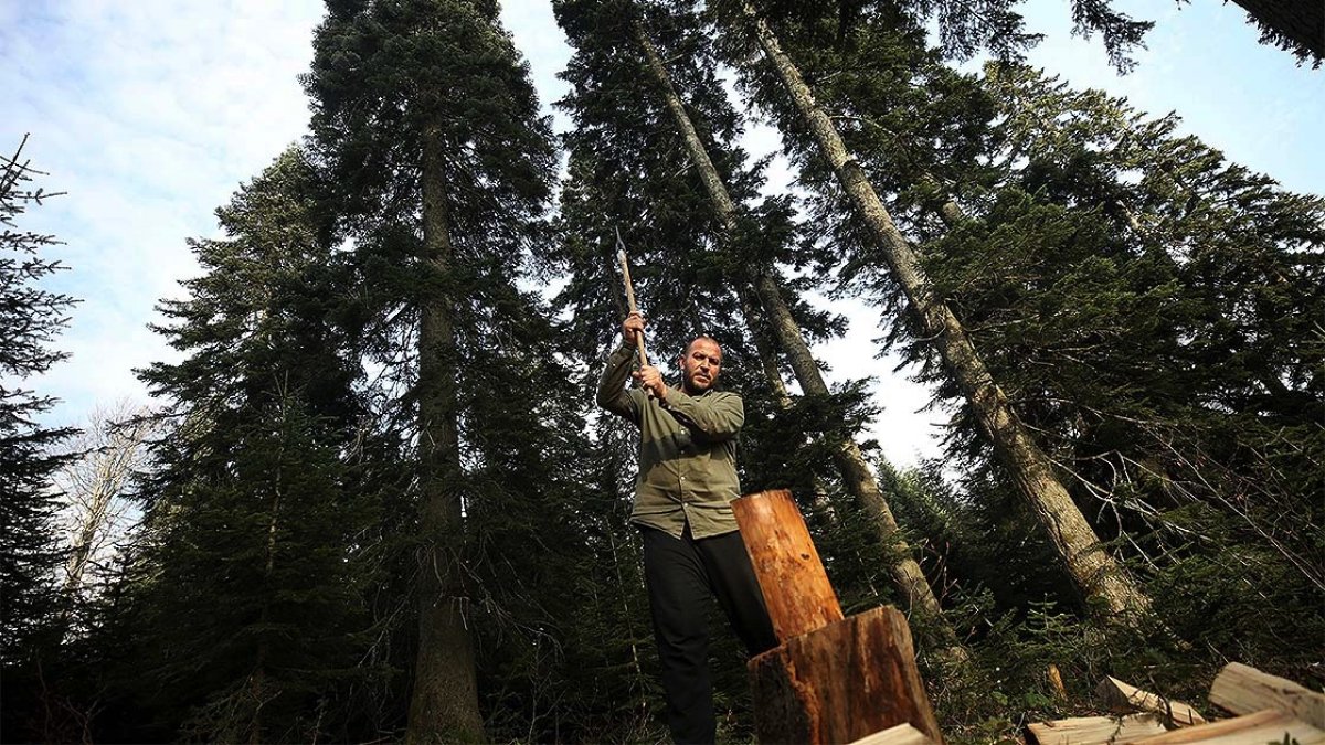 a Koronadan kaçmak için Düzce'nin yaylalarına çıktı