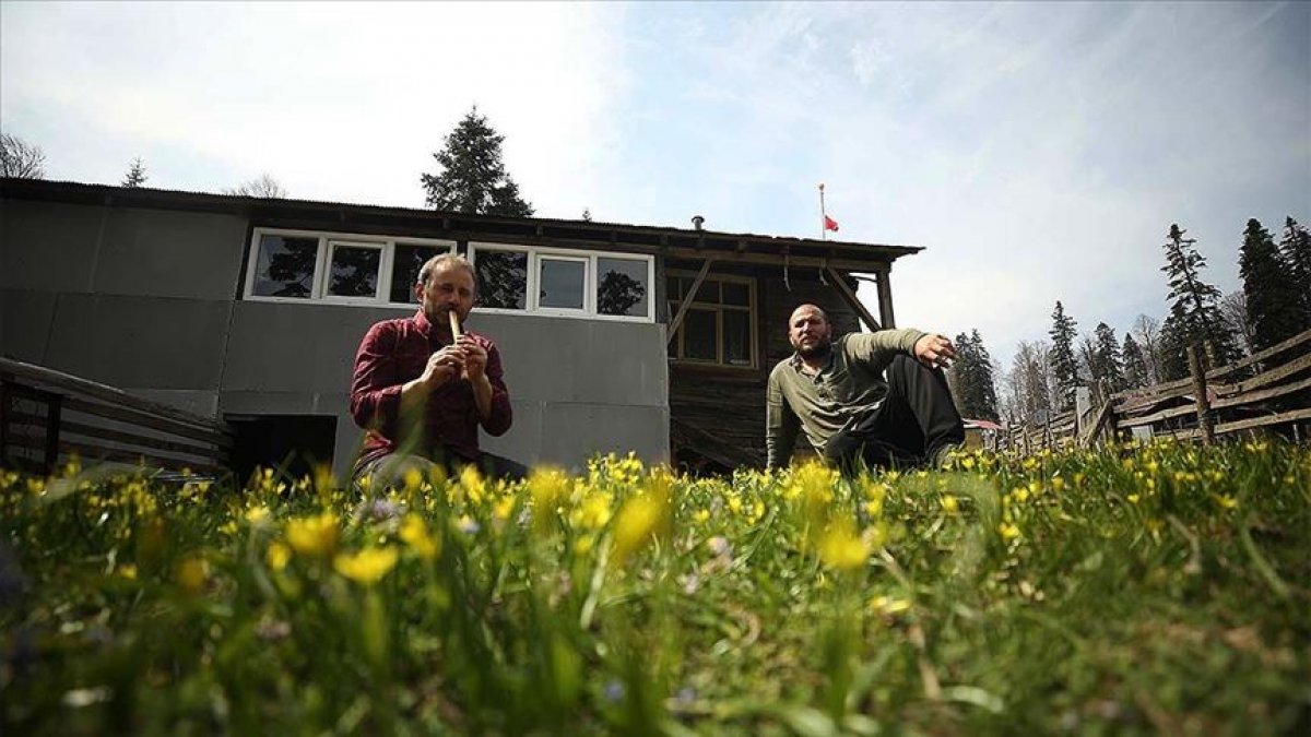 a Koronadan kaçmak için Düzce'nin yaylalarına çıktı