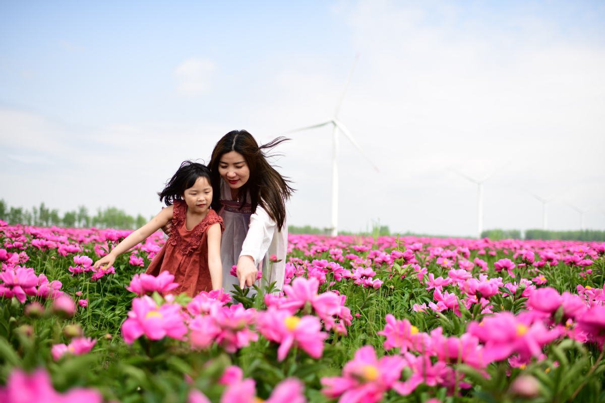 Çin basınından virüsten kurtulduk mesajı