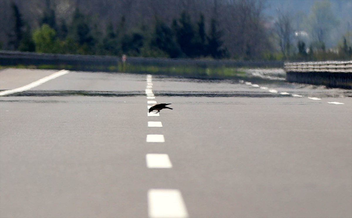a Sağlık Bakanı Koca, normale dönüş planını anlattı