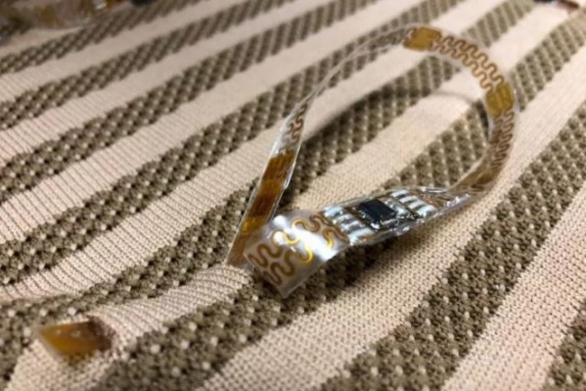 Türk profesör Canan Dağdeviren'den çığır açan buluş