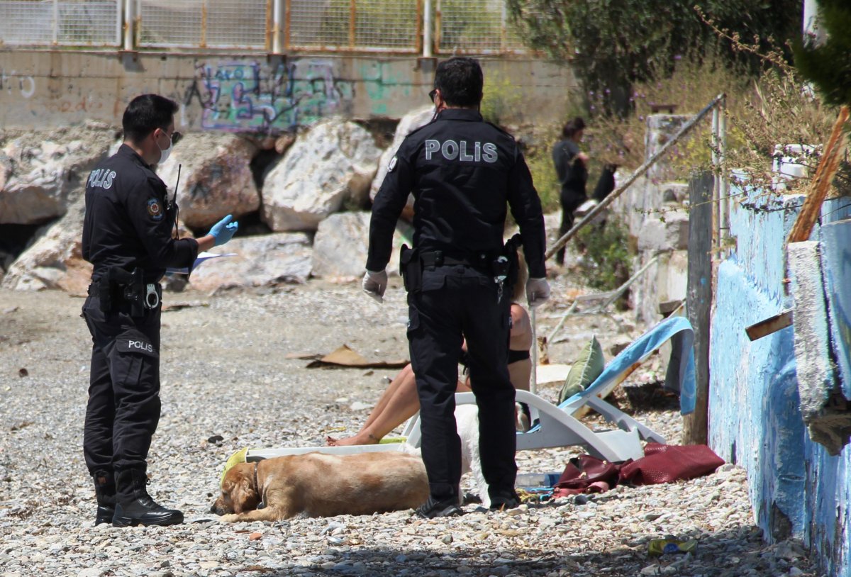 Bodrum’da sahilde sere serpe güneşlenirken yakalandı