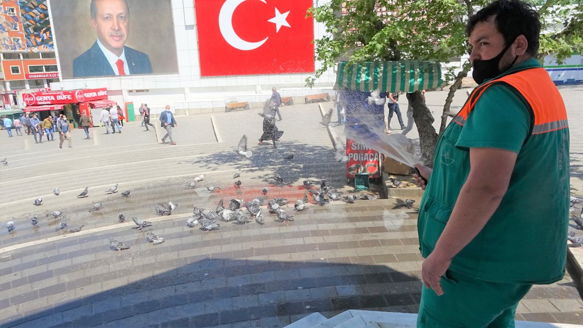 Bursa'da güvercinler banyo yapmak için sıra bekliyor